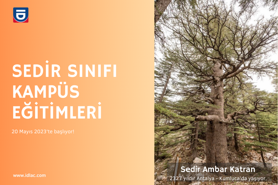 Sedir Sınıfı Kayıtları Başladı