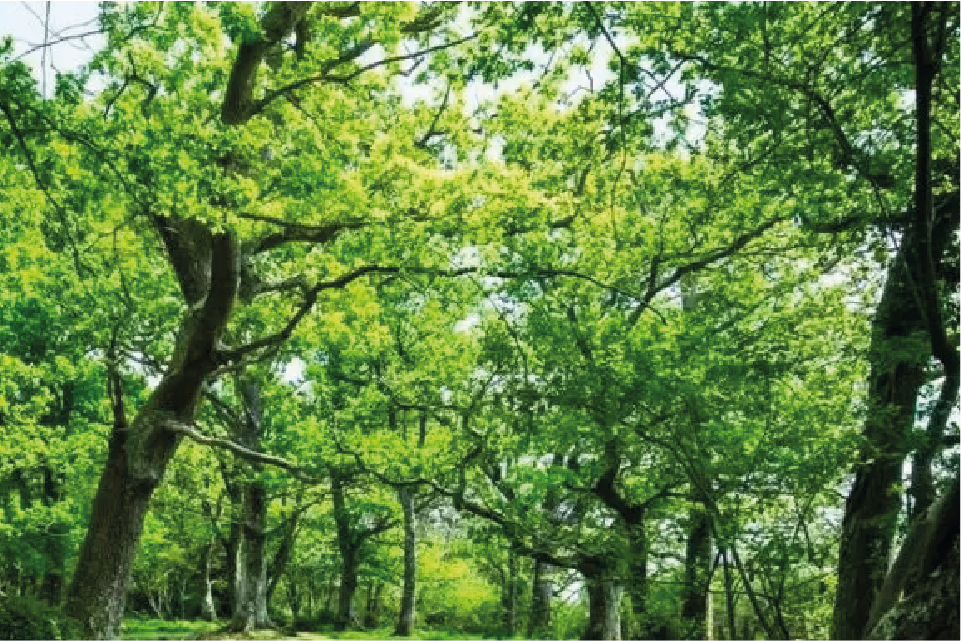 Güz sınıfı eğitime başladı