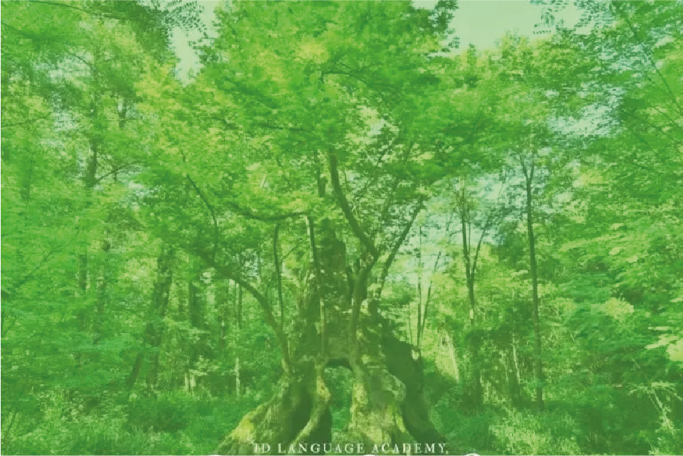 Çınar Sınıfı derslere başladı